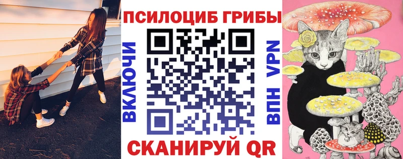 KRAKEN   Ставрополь  Галлюциногенные грибы MAGIC MUSHROOMS 